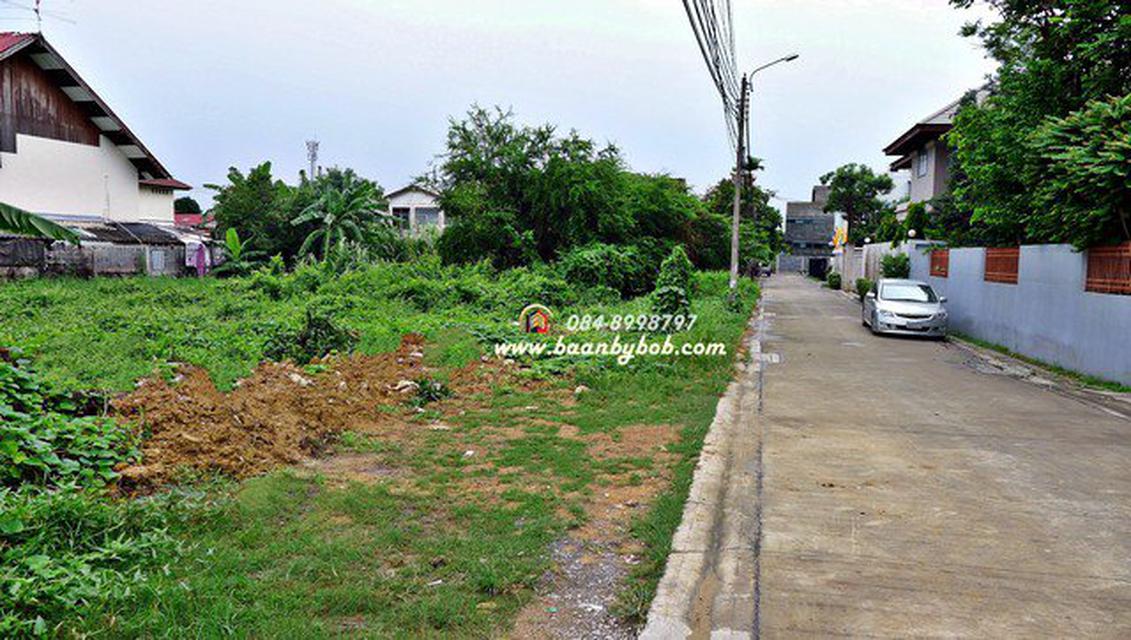 ขายที่ดิน พุทธมณฑล สาย1 272 ตร.วา
