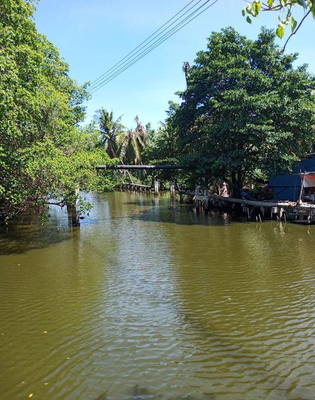 ขายที่ดินถมแล้วติดคลองพระสะทึงและติดถนนสาธารณะ เนื้อที่ 41 ไร่เศษ (แบ่งขายได้)  ต.สระแก้ว อ.เมือง จ.สระแก้ว 4