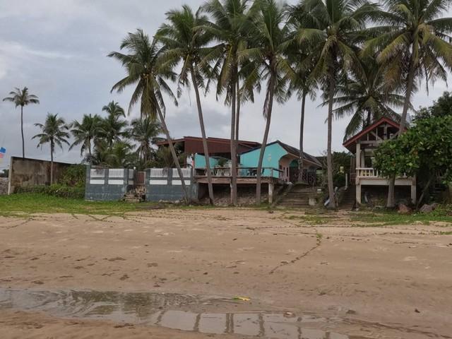 หน้าฝนมีทรัพย์ดีเสดชื่นหัวใจ ขายที่ดินริมหาดสะพลีทรายขาวน้ำใสคราม สวยงามวิวทะเลธรรมชาติสุดสุด ปะทิวใกล้หาดสวยทุ่งวัวแล่น 1