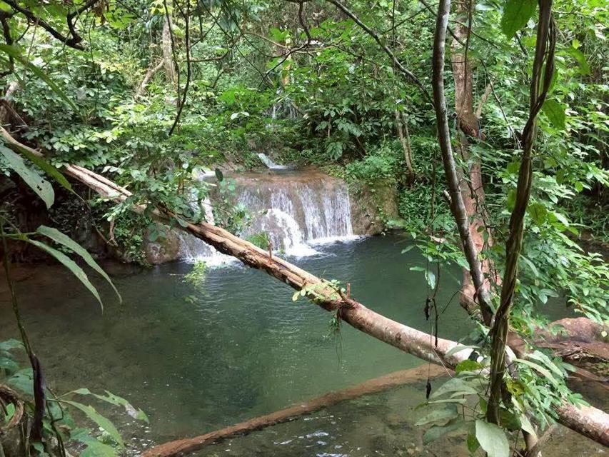 ที่ดินเปล่าวิวสวย เหมาะทำบ้านตากอากาศหรือรีสอร์ท ท่ามกลางธรรมชาติ 3