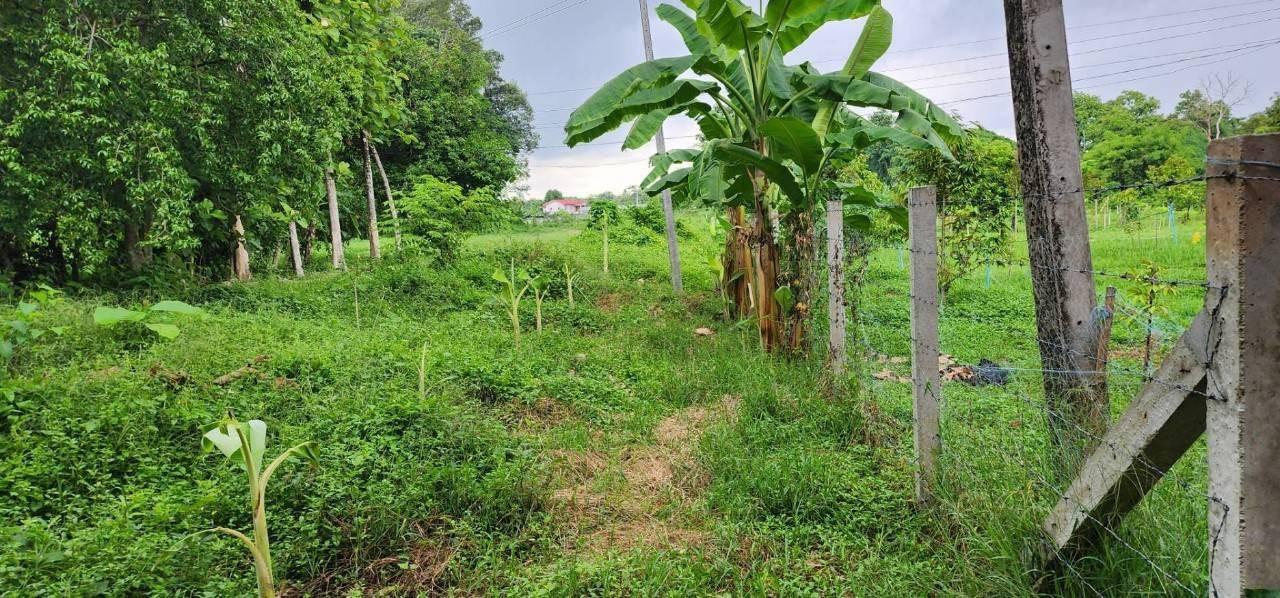 ที่ดินติดแม่น้ำนครนายก 18