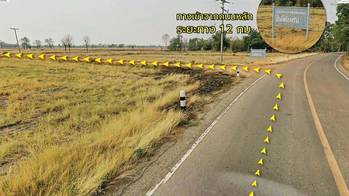 ที่นาพิจิตรไร่ละ 110,000 (เจ้าของขายเอง) อ.บางมูลนาก จ.พิจิตร 4