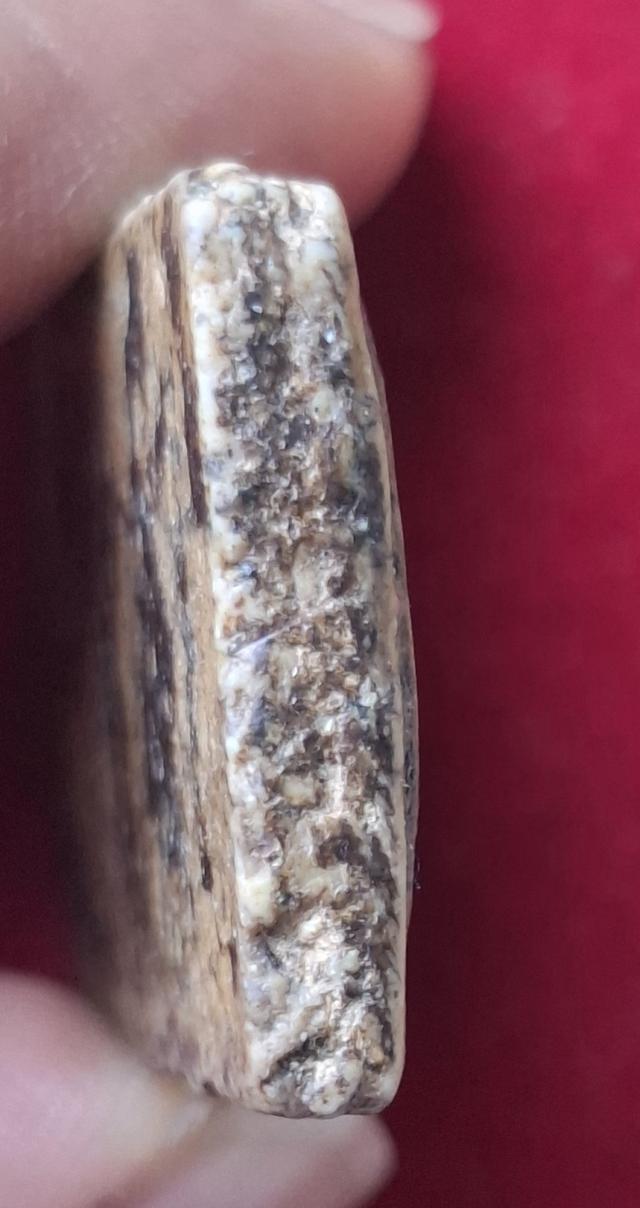 พระสมเด็จวัดระฆังโฆสิตาราม 5