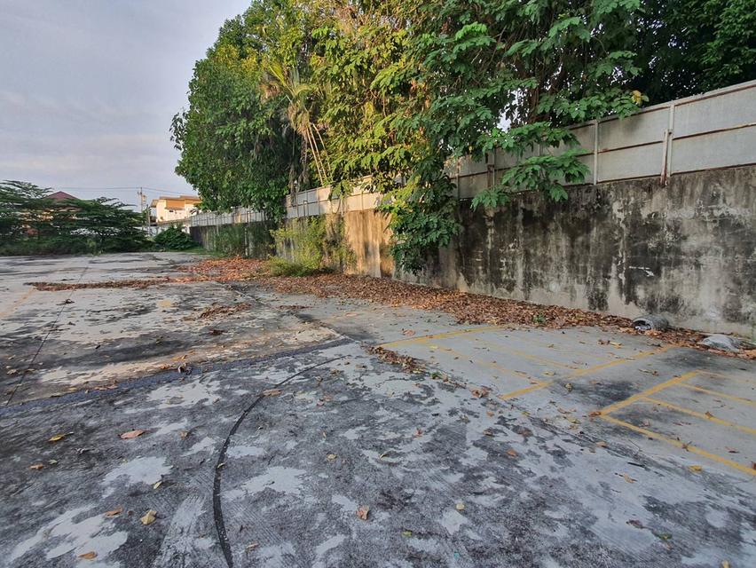 ขายที่ดิน 1 ไร่กรุงเทพกรีฑา, กรุงเทพ 4