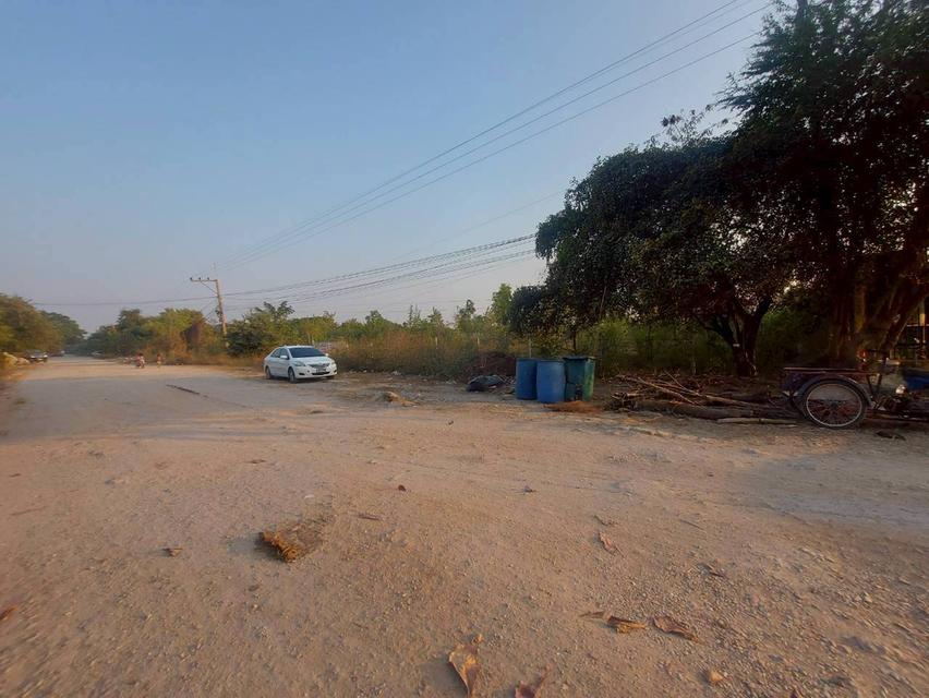 ขายที่ดินพร้อมสิ่งปลูกสร้าง ในหมู่บ้านปิ่นเจริญ ลาดหลุมแก้ว ปทุมธานี 3