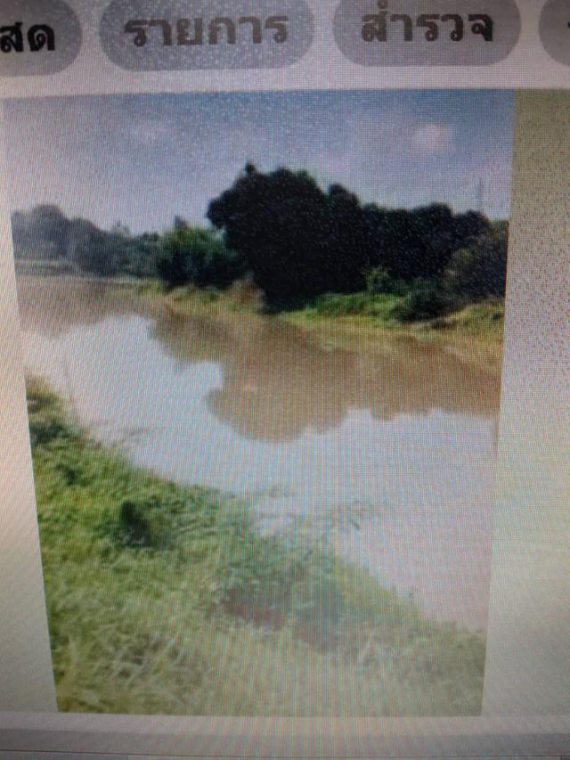 ขายที่ดินแปลงสวยติดหน้าแม่น้ำ  สุพรรณบุรี land for sale closed river 2