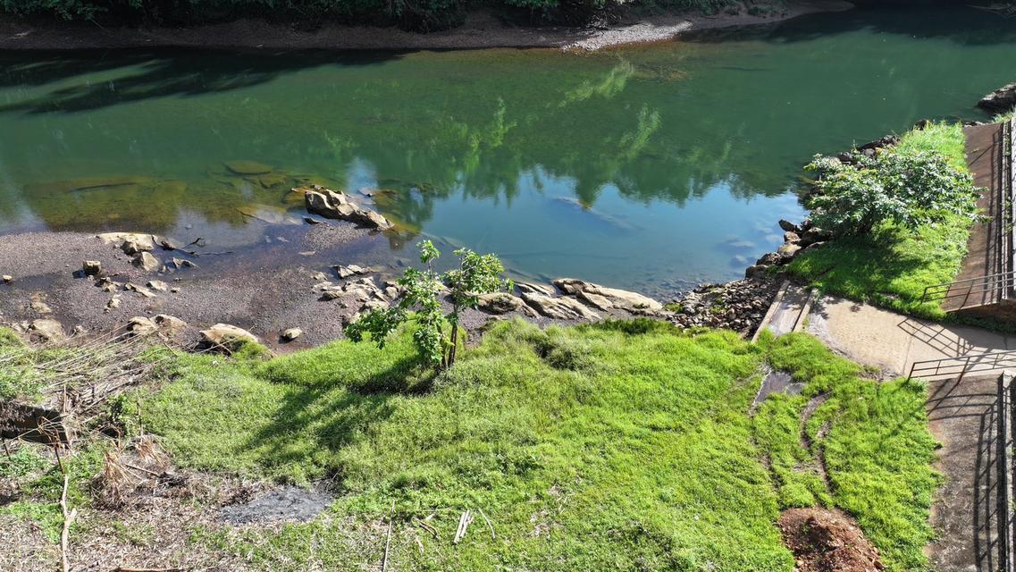 ที่ดินติดแม่น้ำ ทำเลสวย 2