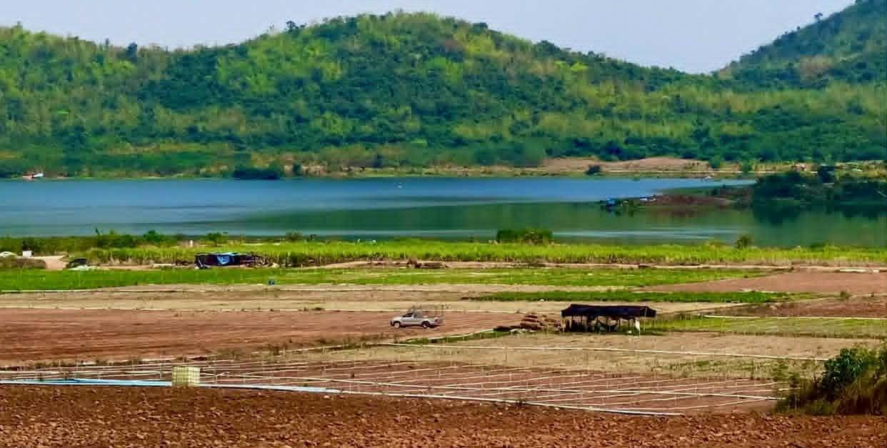ขายที่ดินแถวจังหวัดกาญจบุรี ไร่ล่ะ 230000 14
