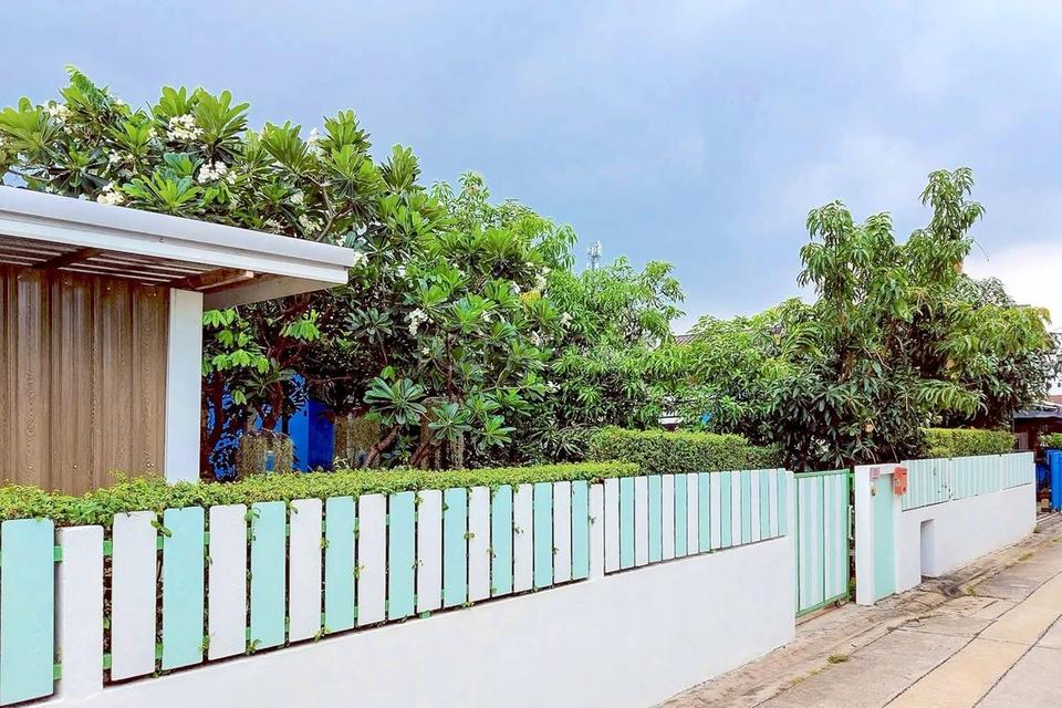 บ้านเดี่ยวอ่อนนุช 53 สุขุมวิท77 ที่ดิน 159ตร.ว พัฒนาการ ศรีนครินทร์ ใกล้ซีคอน สวนหลวงร.9 เฉลิมพระเกียรติ สนามบินสุวรรณภูมิ รถไฟฟ้าศรีนุช 0879074045 1