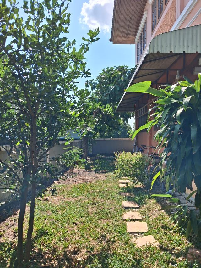 บ้านเดี่ยวมือสอง ใกล้สนามบินสุวรรณภูมิ 5