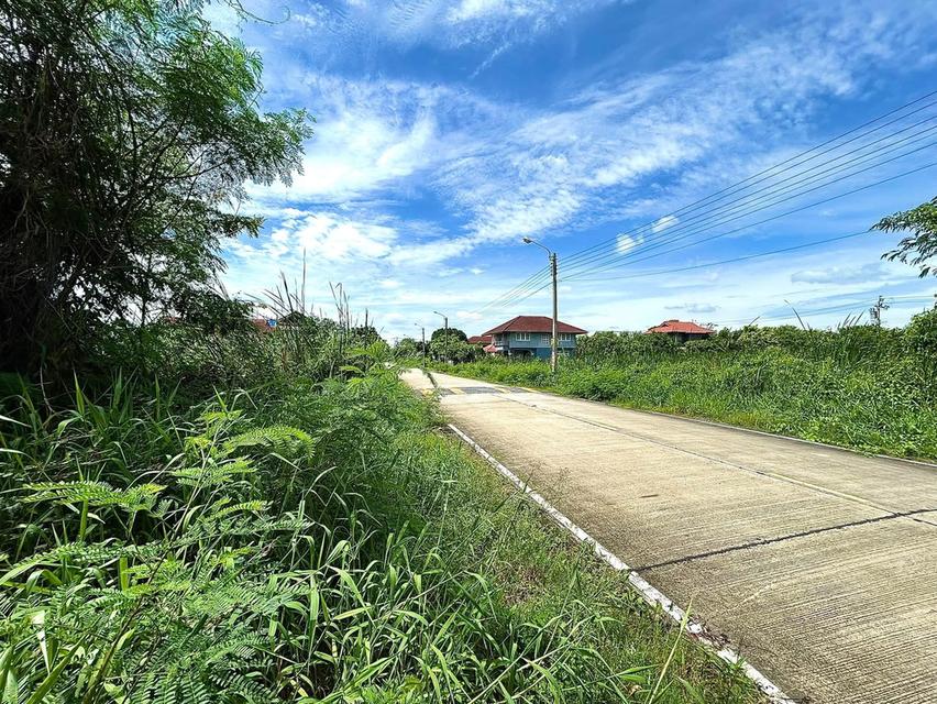 ขายด่วน!! ที่ดินเปล่าถมแล้ว 75 ตร.ว. (ซอยนุ่มประสงค์ 2) ใกล้ ม.มหิดลศาลายา โลตัสบางใหญ่ ทางด่วนประจิมรัถยา ต.ศาลากลาง อ.บางกรวย จ.นนทบุรี 2