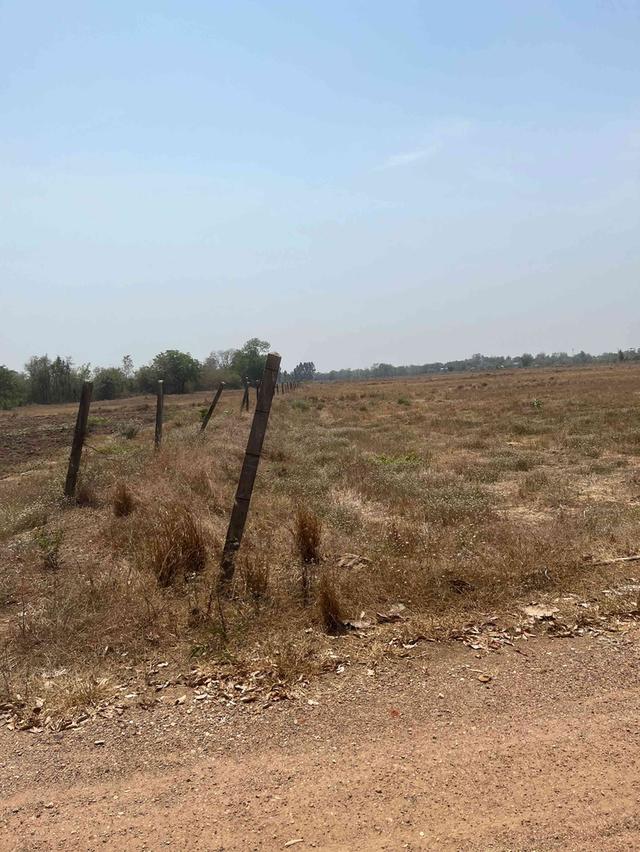 ขายที่ดิน 15 ไร่ ทำเลดี ติดกองบิน 4 ตาคลี เข้า ออกสะดวก น้ำไม่ท่วม 4