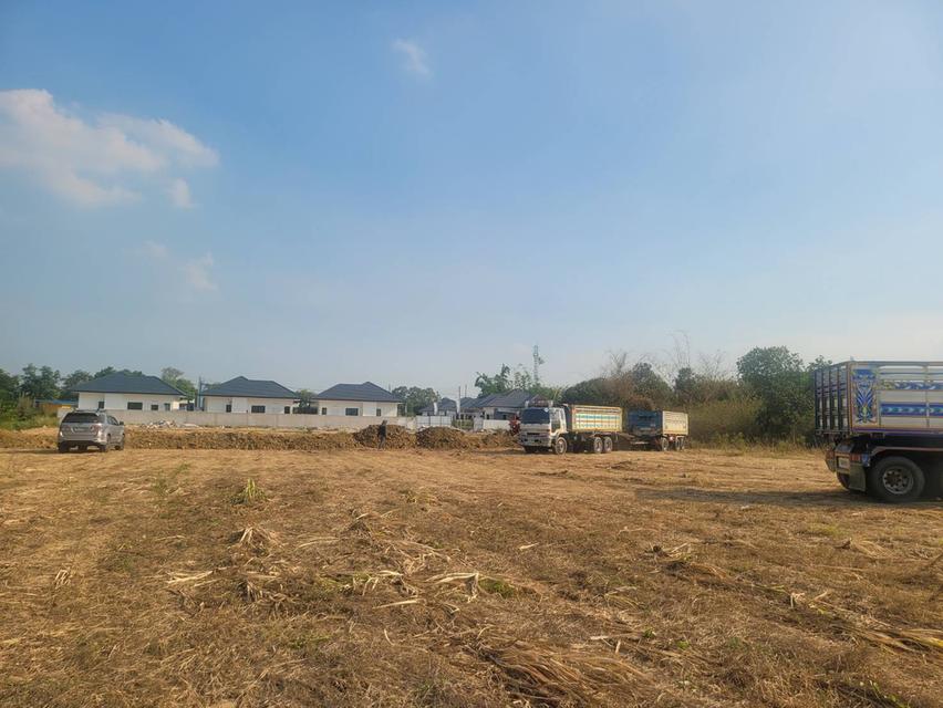 ที่ดินสวยท่ามะกา-บ้านโป่ง กาญจนบุรี ใกล้ทางด่วน M81 เข้ากรุงเทพแค่50นาที ซื้อเกรงกำไร หรือเป็นบ้านหลังที่ 2 น้ำไม่ท่วมแน่นอน 7
