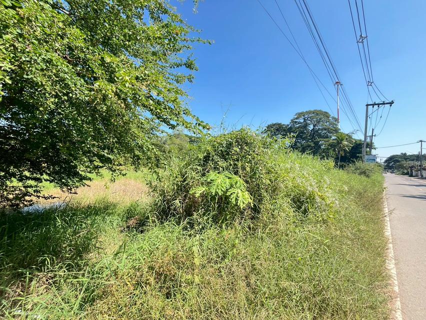 ขายที่ดินขอนแก่น โซน ร.8 8