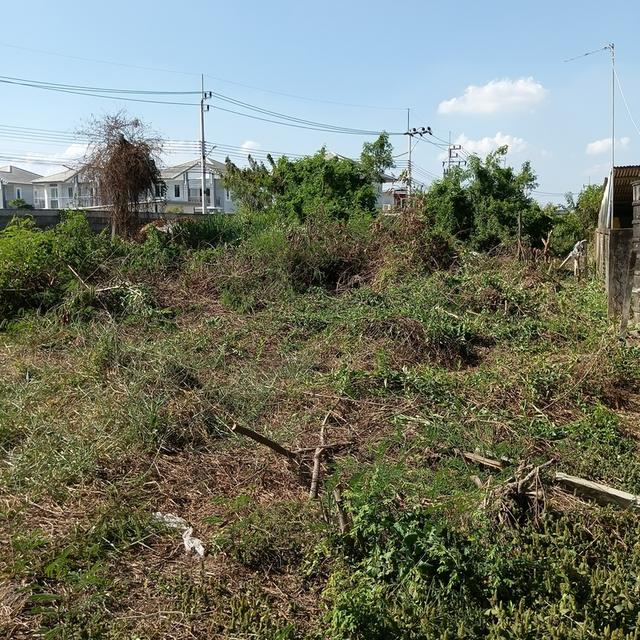 ที่ดินท่าไข่ฉะเชิงเทรา 15