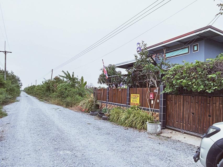 ขายบ้านเดี่ยวชั้นเดียว ซอยวัดสโมสรบางเลน นครปฐม 3