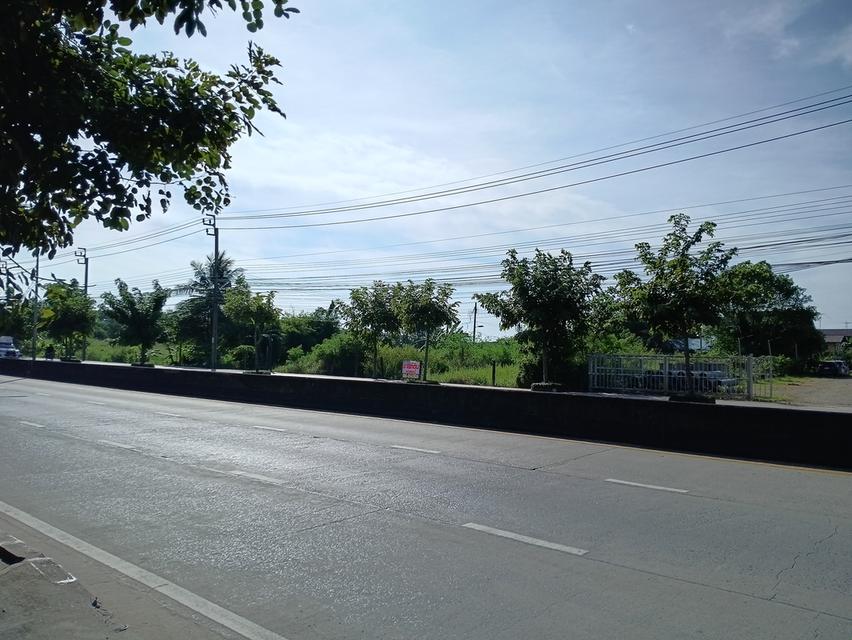 ที่ดินเปล่าหนองจอก กรุงเทพ 13