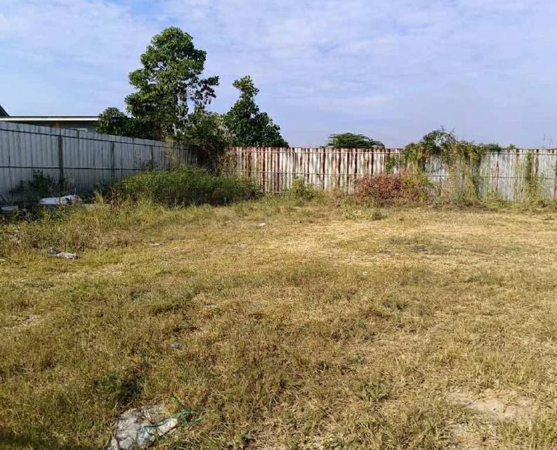 ขายที่ดินพลา 100 ตรว.ถมแล้วเทศบาล6ซอย13 หลังสนามกอล์ฟอีสเทิร์นสตาร์ ใกล้หาดพลา-3กม. อ.บ้านฉาง ระยอง 5