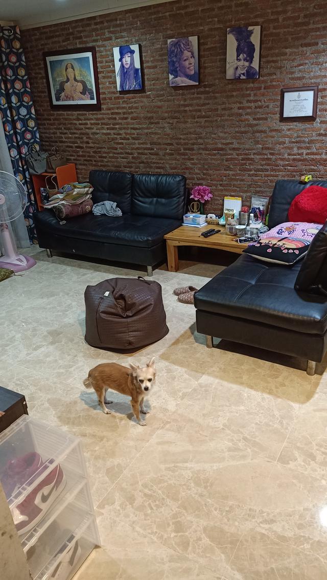 ขายทาวน์โฮม 3 ชั้น ซอยรามอินทรา 14 ราคา 4,100,000 บาท 14