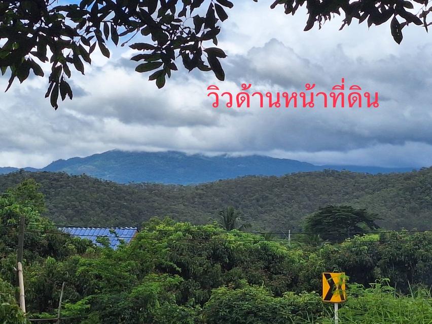 ขายที่ดินวิวภูเขา อ.พร้าว จ.เชียงใหม่ 12