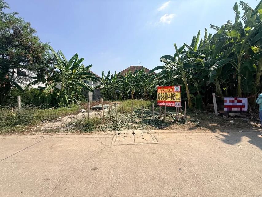 ขายถูกทีดินลาดสวาย 124 ตารางวา ติดถนนคอนกรีตสาธารณะ ถมแล้ว ซอย ร่วมสุข 3 อ.ลำลูกกา จ.ปทุมธานี 2