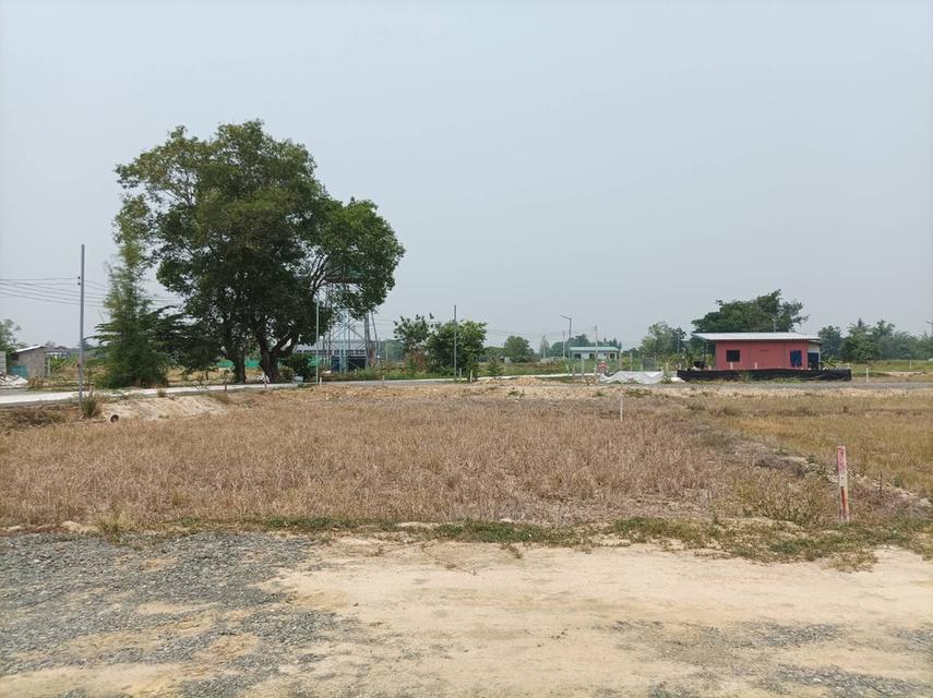 ขายที่ดิน ราคา4,500บาท/ตร.ว. ต.สง่าบ้าน อ.ดอยสะเก็ด เชียงใหม่ 5