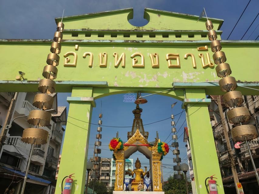 ที่ดินพร้อมสิ่งปลูกสร้าง ขนาด 218ตร.ว. หมู่บ้าน อ่างทองธานี กระทุ่มแบน 10