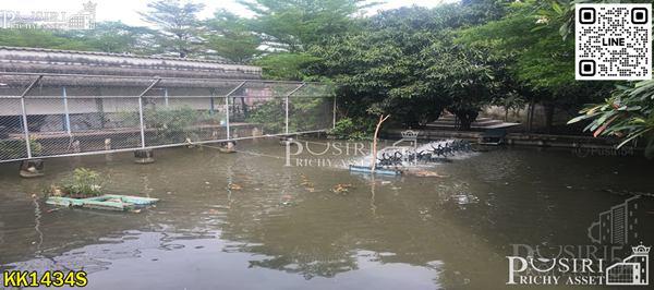 ขายที่ดิน 7 ไร่ พร้อมพื้นที่ใช้สอย ลานคอนกรีตเต็มพื้นที่ มีโรงงาน โกดัง สำนักงาน อุปกรณ์และใบ รง.4 ครบถ้วน แถมติดถนน 2 ด้านในราคาที่เปล่า - KK1434S 5