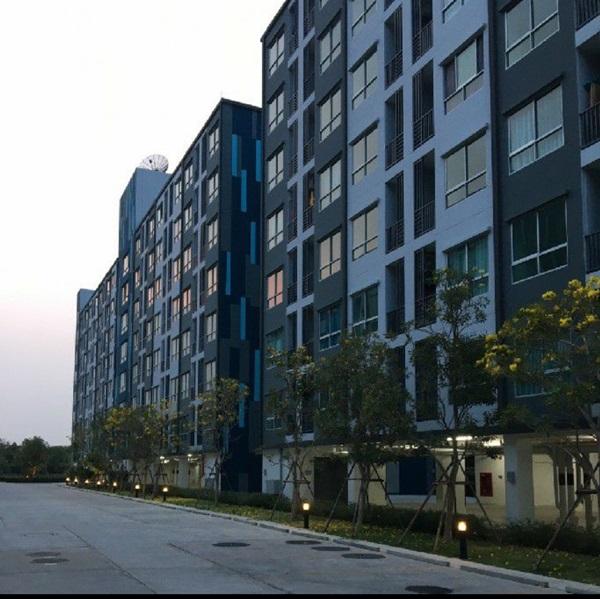 ด่วน! ขายคอนโดสวย พร้อมอยู่ เดอะคิทท์ พลัส พหลโยธิน - คูคต ราคาดีมาก เฟอร์ครบ ทำเลดี ใกล้ดอนเมือง โทร 0811715953 9