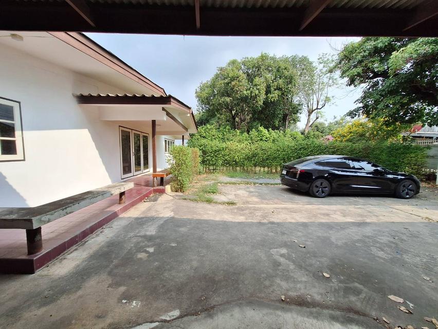 ขายที่ดินแถมบ้านหรือให้เช่า ซ.เสนานิคม 1 ใกล้ปากทาง ขนาด 173 ตารางวา  6