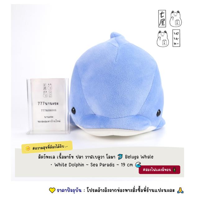 สัตว์ทะเล เนื้อมาร์ช ปลา วาฬเบลูวา โลมา 🐬 Beluga Whale ・ White Dolphin ~ Sea Paradis ~ Standard 19 cm 🌊