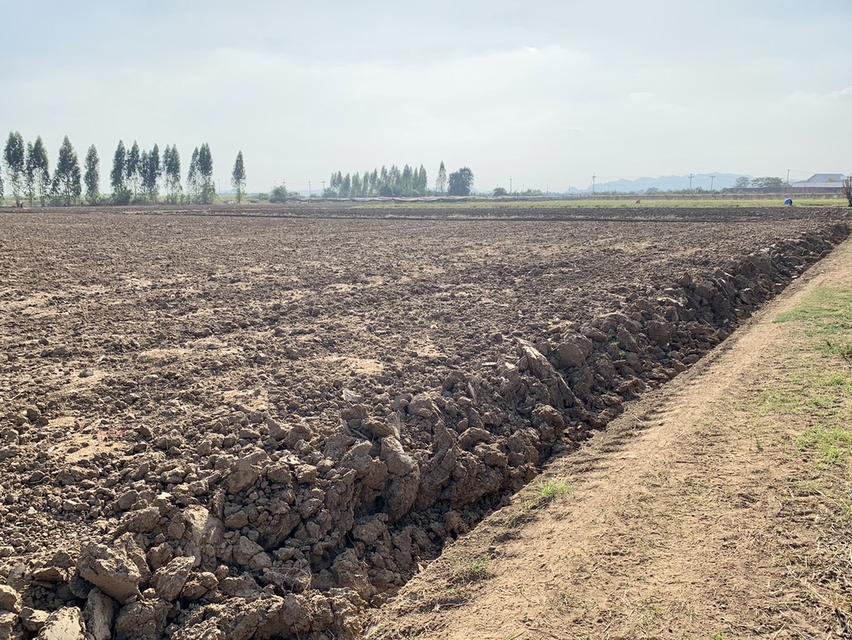 ขายที่ดินสวย16ไร่ ต.วังศาลา อ.ท่าม่วง แปลงสวย ทำเลดี แหล่งชุมชน ใกล้กรุงเทพ เดินทางสะดวก 5