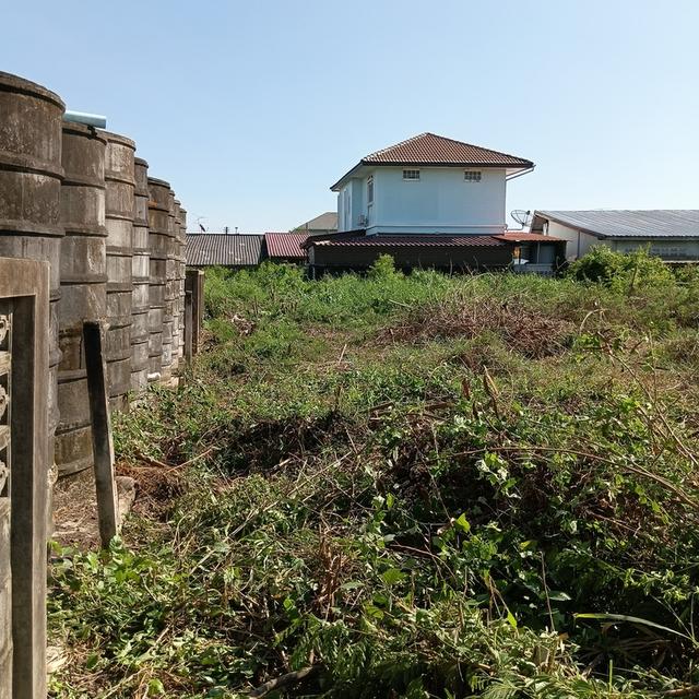 ที่ดินท่าไข่ฉะเชิงเทรา 6