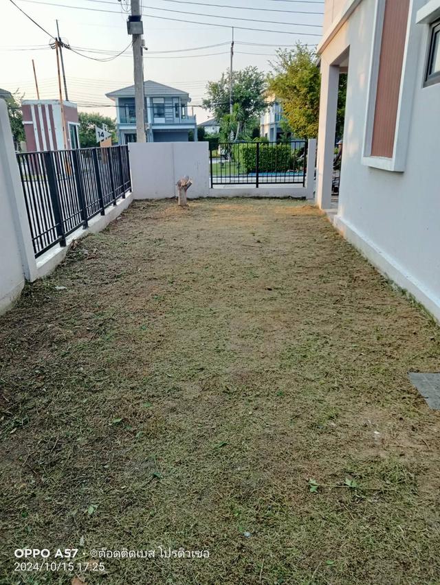 ขายบ้าน โครงการ The plant ปิ่นเกล้า-สาย5 1