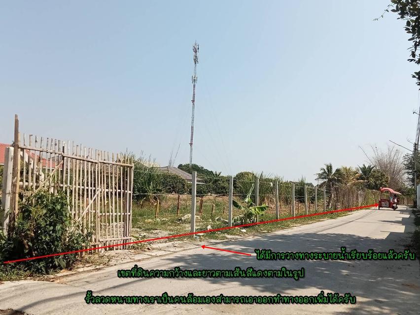 ที่ดินเปล่า/ไม่แบ่งขาย 13