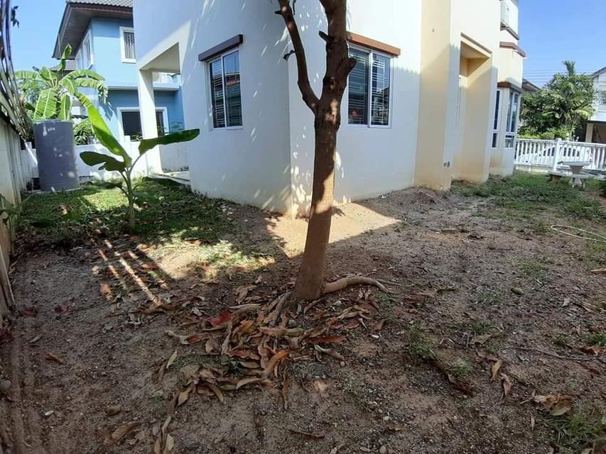 🏠ให้เช่า บ้านเดี่ยว หมู่บ้านสิรีนเฮ้าส์ บางนา-บางบ่อ (Sirinhouse Bangna -Bangbo) ขนาด 54 ตารางวา 17