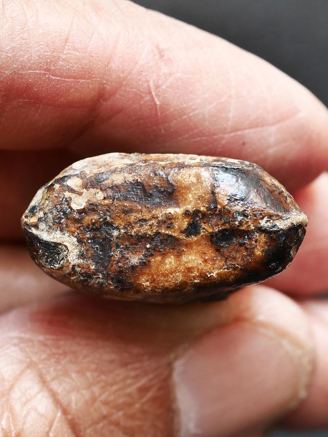 พระปิดตาเนื้อผงคลุกรัก หลวงพ่อทองสุข วัดสะพานสูง พิมพ์สะดือจุ่น...เก่า เดิมๆ 10