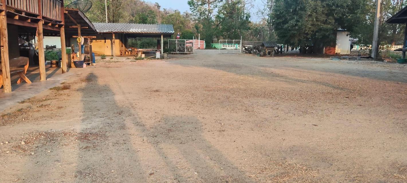 ขายบ้านและที่ดินพร้อมเข้าอยู่ 9