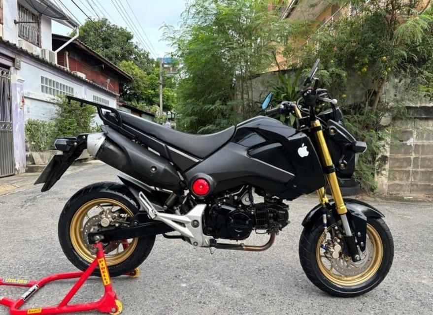 Honda รุ่น MSX 125cc 2