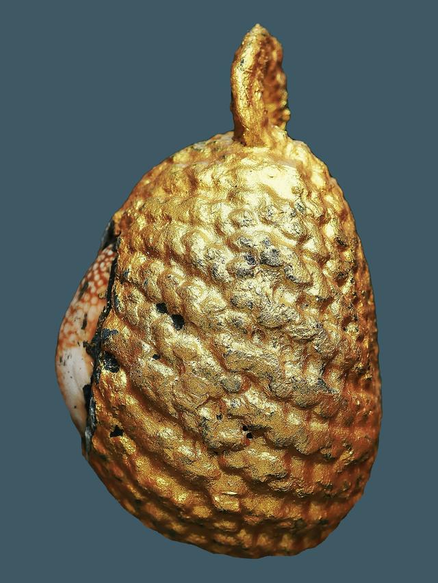 เบี้ยแก้จักรพรรดิ์ รุ่นมหาจักรพรรตราธิราช หลวงปู่หมุน ฐิตสีโล อายุ 108 ปี พ.ศ.2545..เก่า เดิมๆ 3