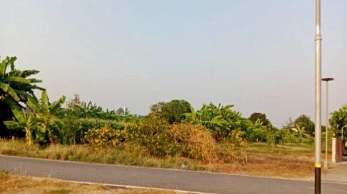 ให้เช่าที่ดินเปล่าถมแล้ว 226ตารางวาติดแม่น้ำน่านวิวสวย 6