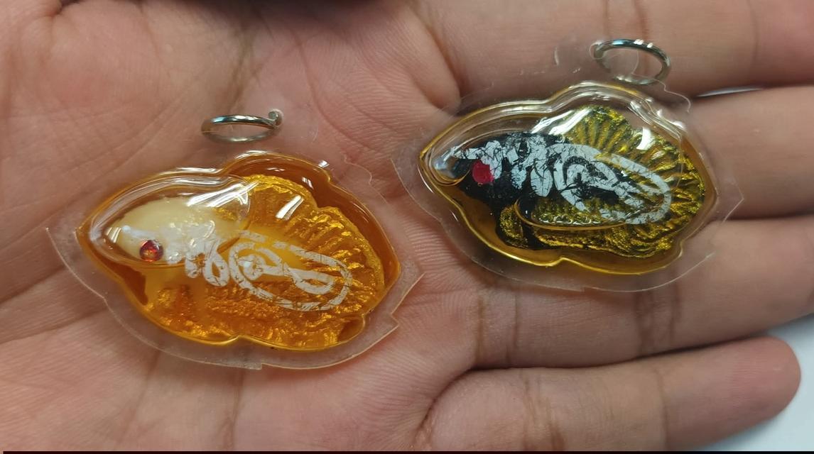 ปลากัดแช่น้ำมันหลวงพ่อเมียน ขนาด 3.7ซม.× 4.8ซม. 2 ตน ขาว ดำเลี่ยมกันน้ำพร้อมห้อย