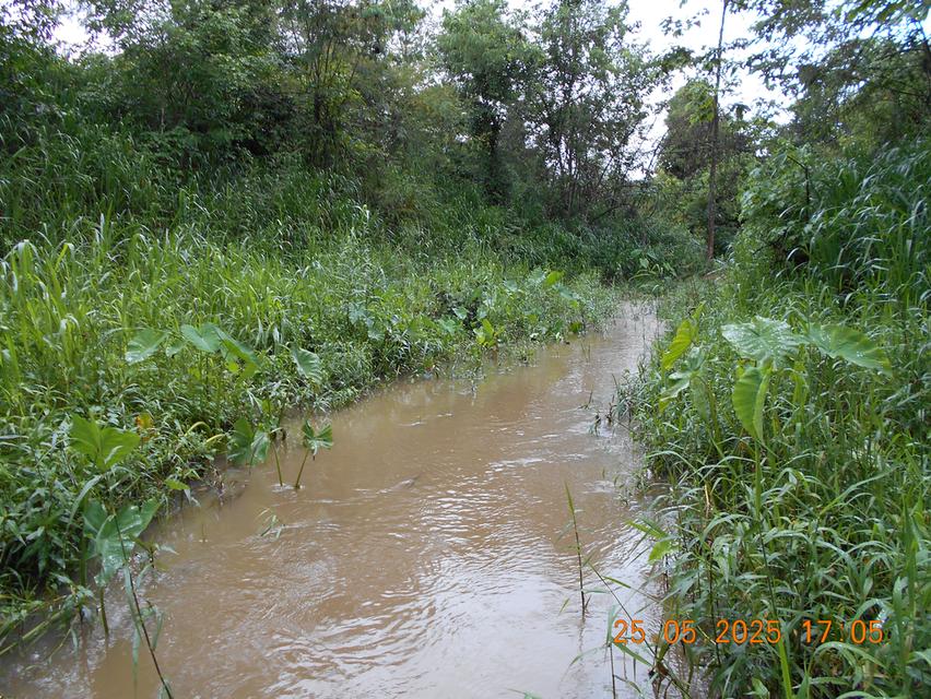 ขายที่ดิน 10 ไร่ พร้อมบ้าน ติดลำห้วย 3 สาย ต.บ้านบึง อ.บ้านคา จ.ราชบุรี 1
