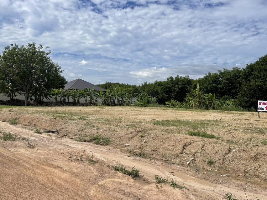 ขายที่ดินสีม่วงลายบ่อวิน 1 ไร่ ซอยเยาวเรศถมแล้วติดถนน2ด้าน ใกล้นิคมอีสเทอร์ซีบอร์ด-5กม. อ.ศรีราชา ชลบุรี 1