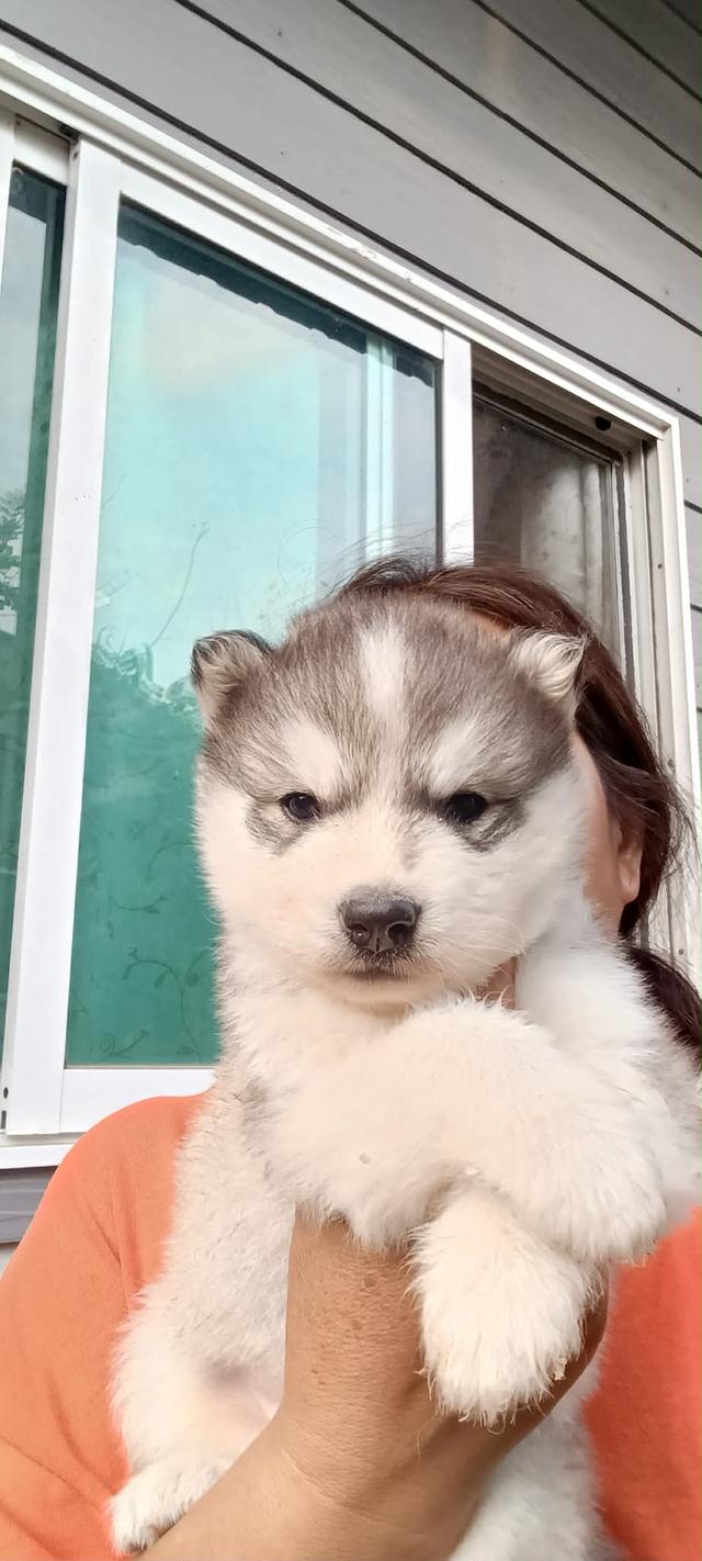 อัปเดตเด็กเข้าใหม่ เริ่มต้น5000 รูปที่ 10