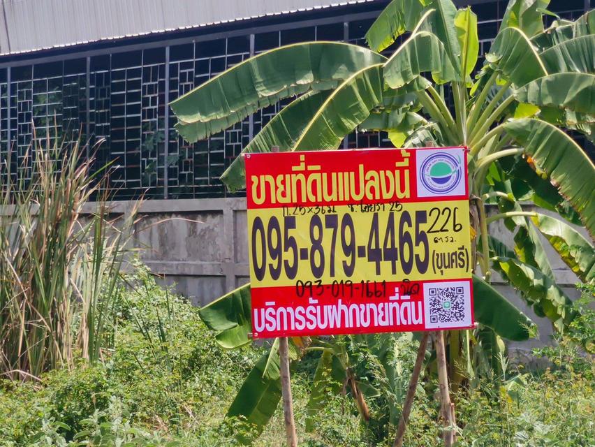 ขายถูกที่ดินใกล้ตลาดไท 226 ตรว ติดถนนคอนกรีตสาธารณะ ซ.ไอยรา 25 คลองหลวง ปทุมธานี 7