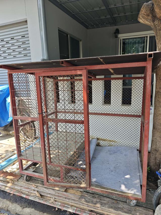 ขายพ่อแม่พันโดโกพร้อมกรง รูปที่ 3