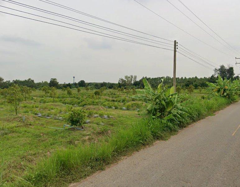 ขายที่ดินพร้อมสวนทุเรียนเนื้อที่ 2 ไร่ ติดถนน2ด้าน ใกล้นิคมเกตเวย์-11กม. อ.แปลงยาว ฉะเชิงเทรา