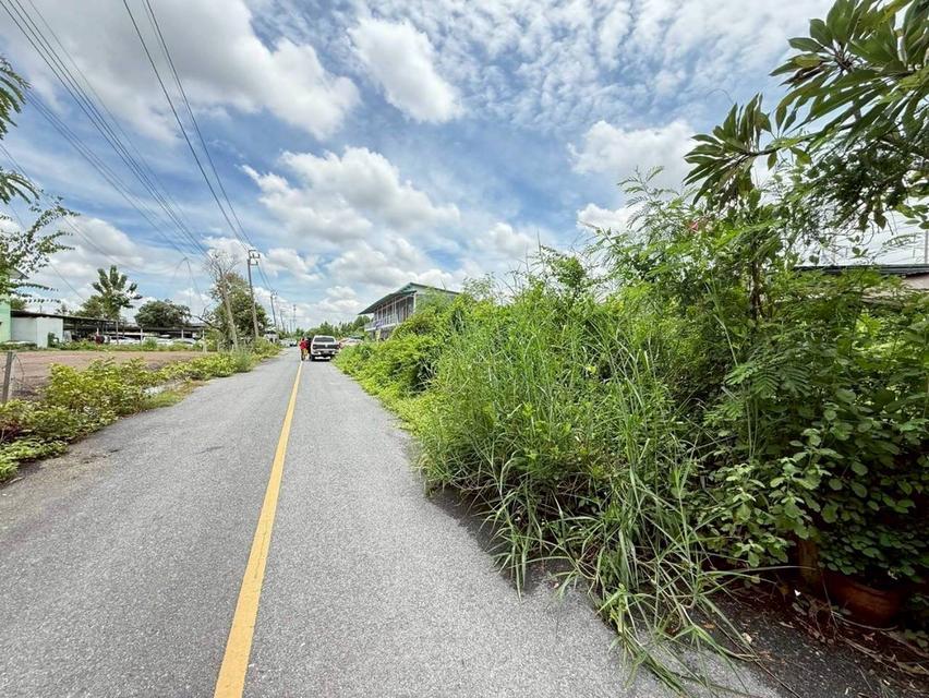 ร้อนเงินVายถูก ที่ดินใกล้แม็คโคร 76 ตารางวา ติดถนนลาดยางสาธารณะ ถมแล้ว อ.บางบัวทอง จ.นนทบุรี 6