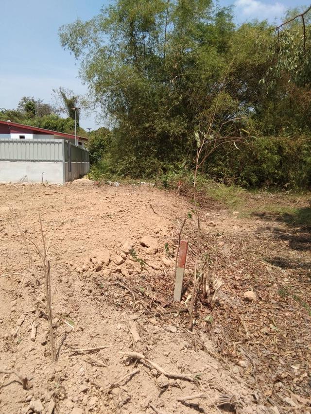 ขายที่ดิน 200 ตรว. ต. พรหมมณี อ. เมือง จ. นครนายก 8